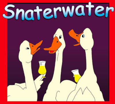 Snaterwater Blond bier etiket